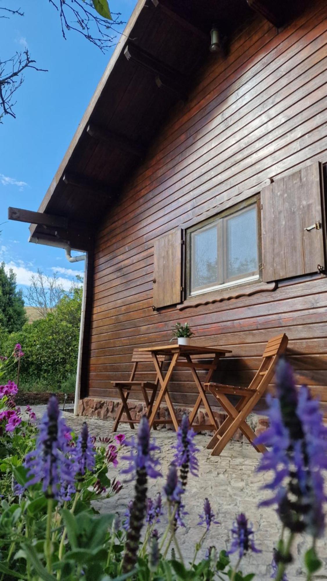 Chalet Villa Mosquito Silves Eksteriør bilde